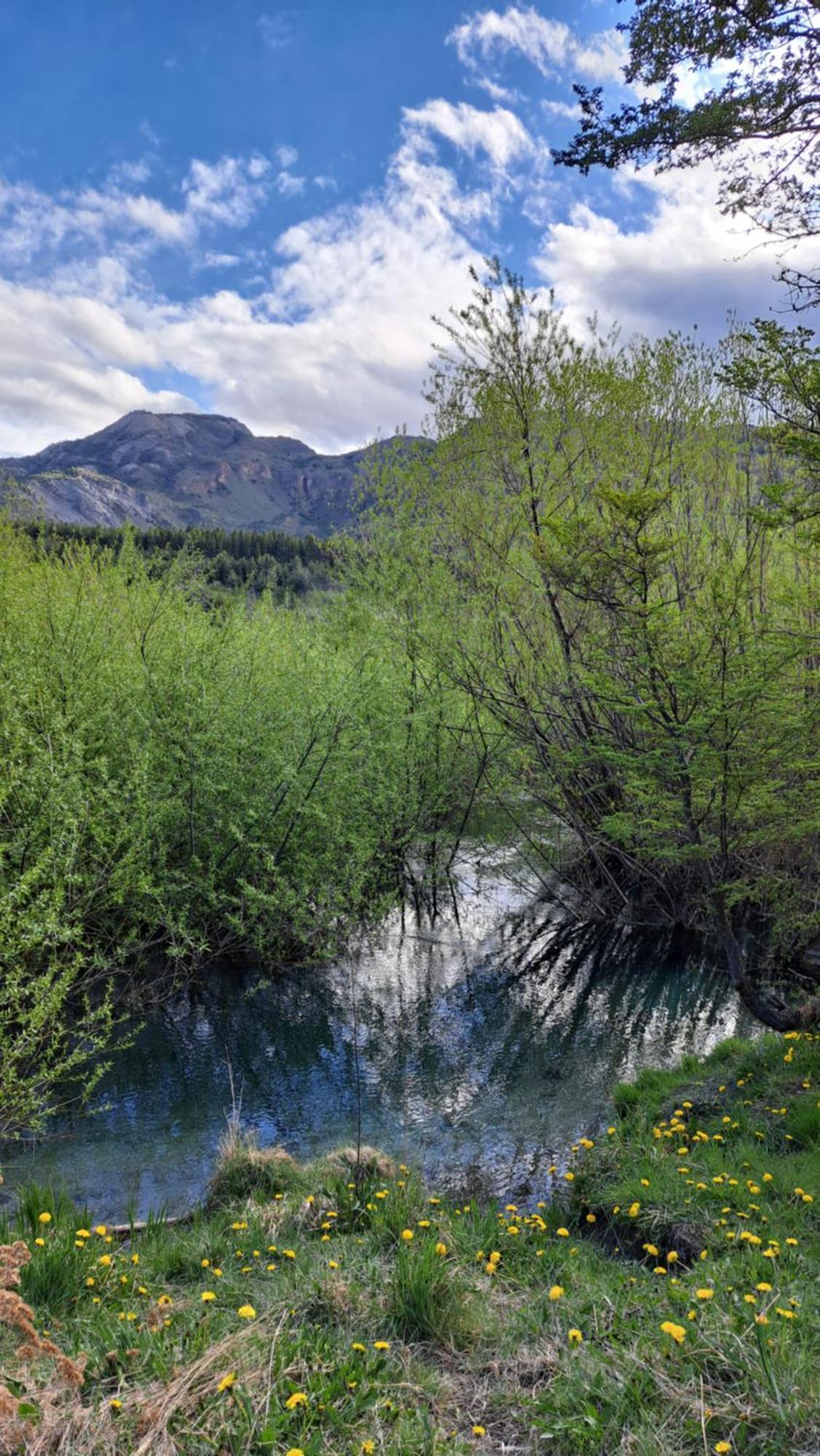 Refugio Del Rio, A Orillas Del Rio Cochrane Villa Dış mekan fotoğraf